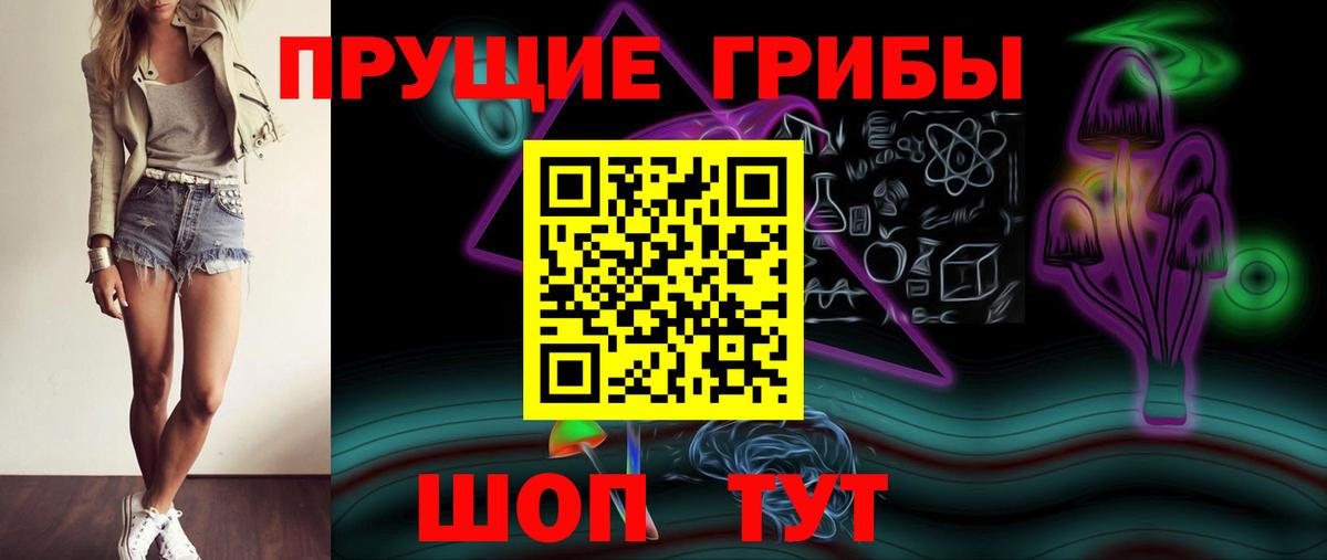 Сорочинск  Галлюциногенные грибы GOLDEN TEACHER  Вход с VPN 